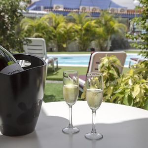 Bungaló Premium
